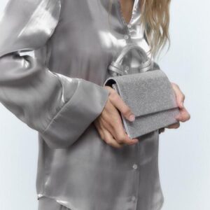 silver purse 1
