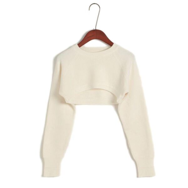 crop sweater2