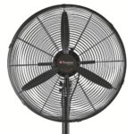 FAN 2