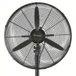 fan 2