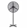 fan 1