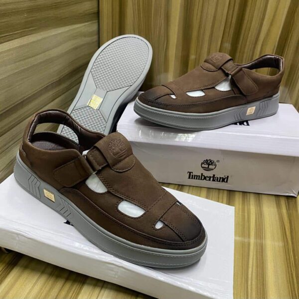 elite timberland men's shoe