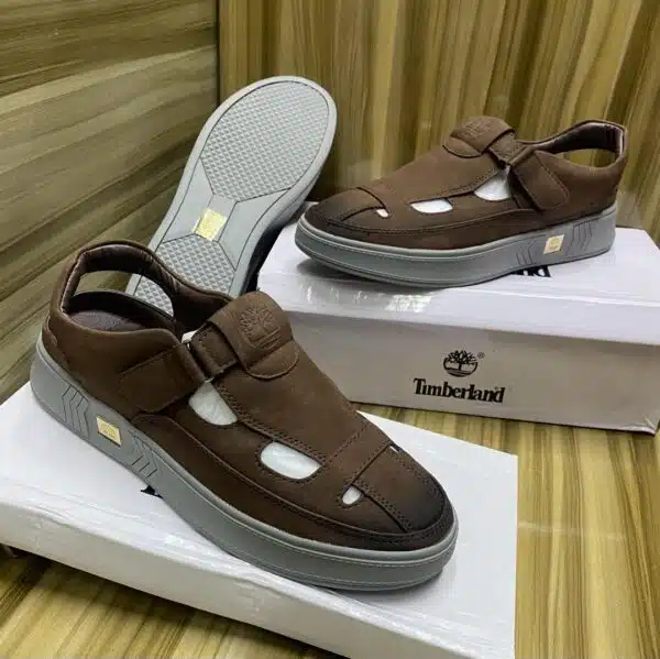elite timberland men's shoe