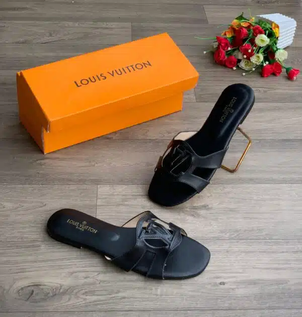 louis vuition4