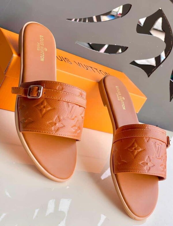 louis vuitton2