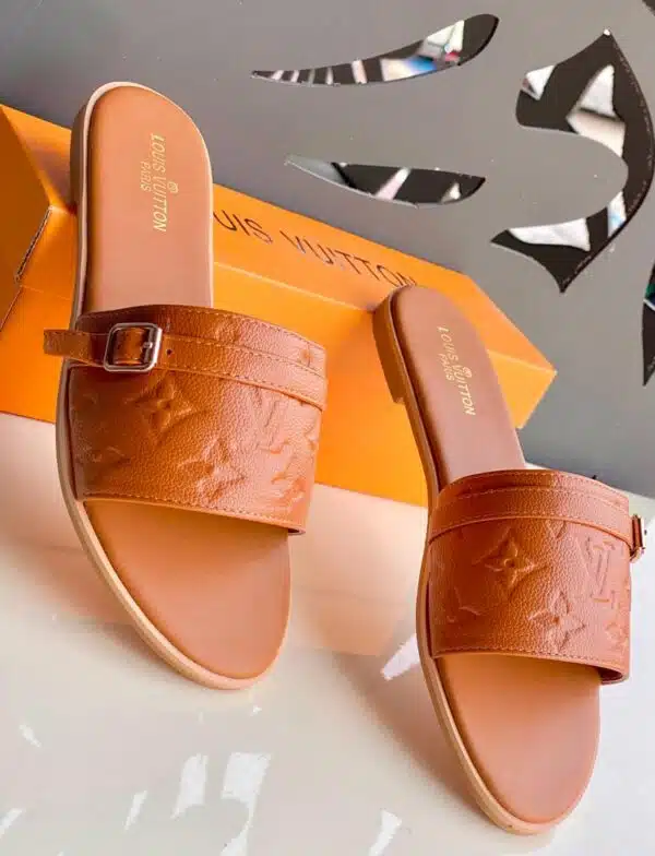 louis vuitton2