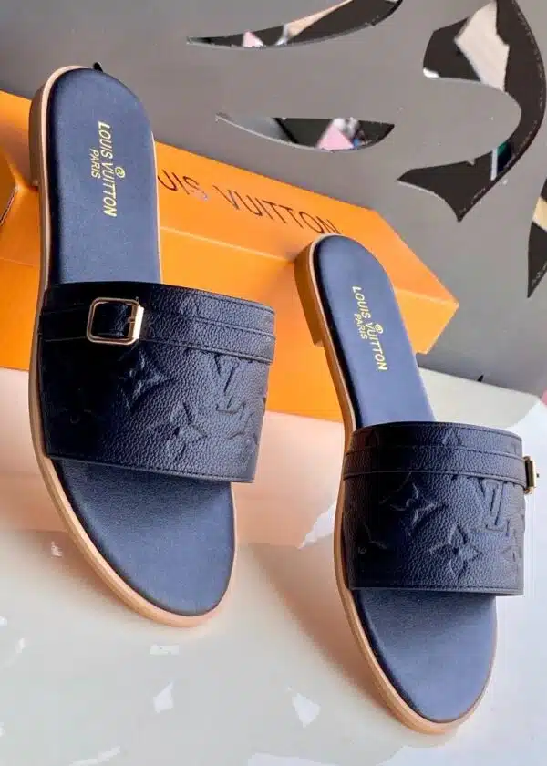 louis vuitton3