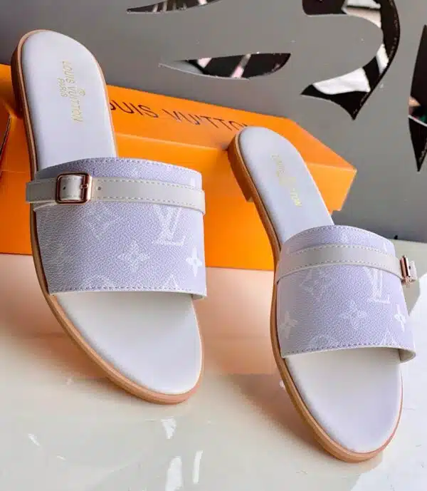 louis vuitton4