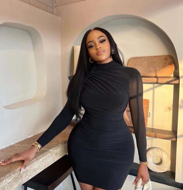 classic long sleeve bodycon dress for ladies