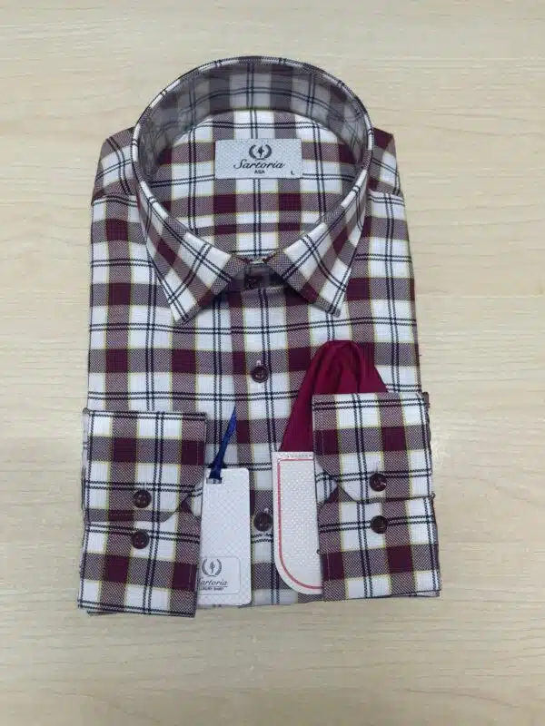men's check shirt