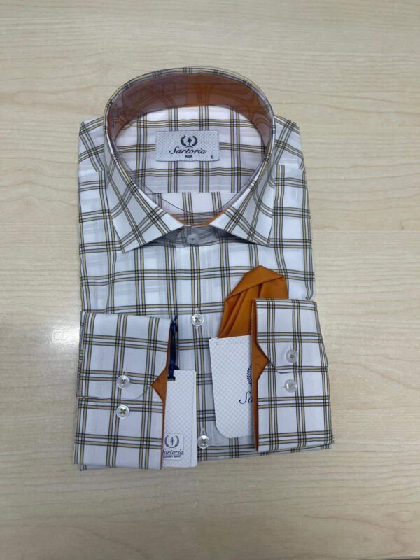 men's check shirt