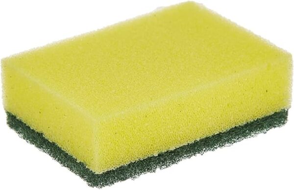 spong3