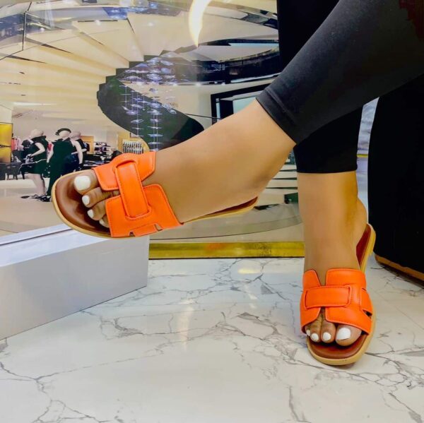 whatsapp image 2024 07 29 at 12.21.37 414e502b