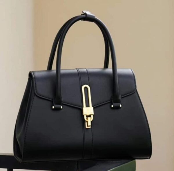 ladies hand bag