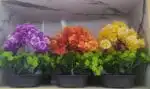 home decoration flowers