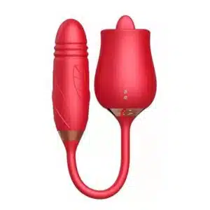 10 Speed Dual Rose Vibrator