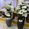 Flower Pot