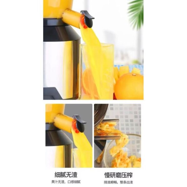 slow juicer with shaft separator and jug