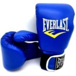 Everlast boxing Gloves Blue