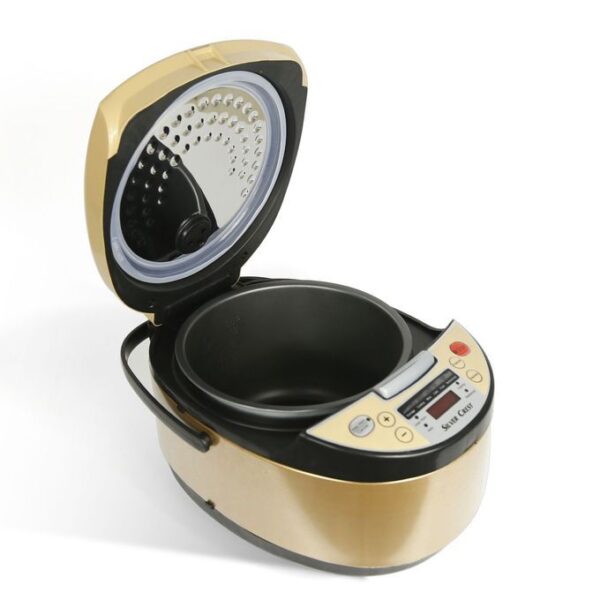 rice cooker3