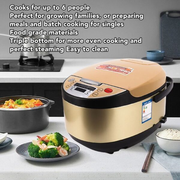 rice cooker4