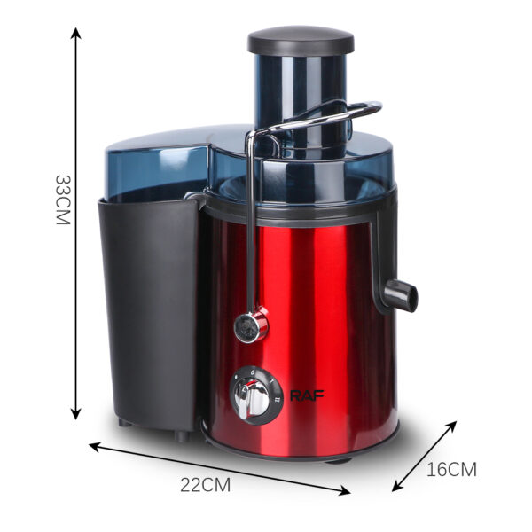 stainless steel juice extractor2
