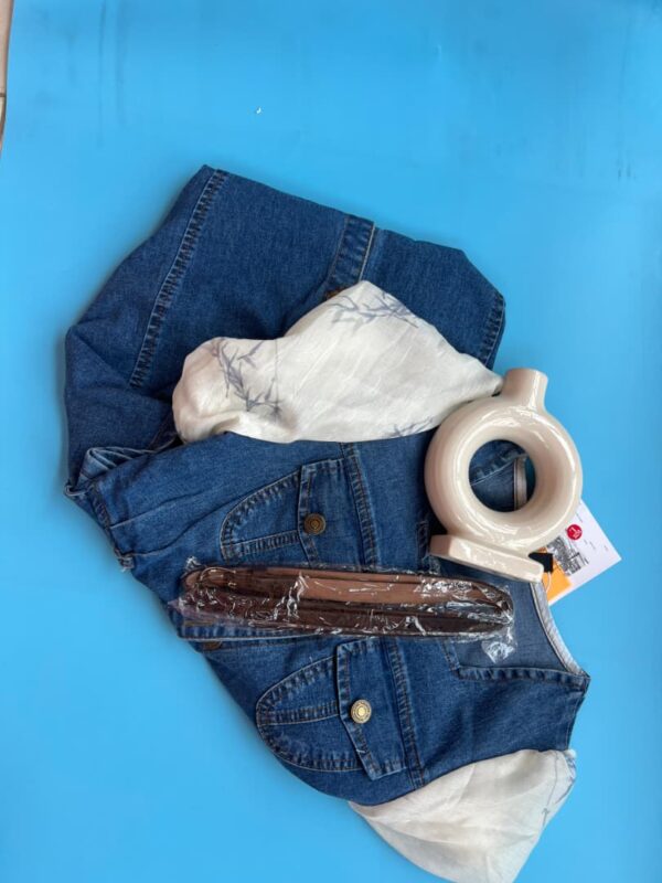 luxe denim dress