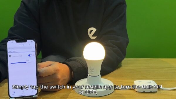 smart bulb