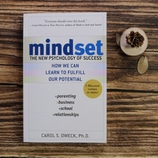 Mindset The New Psychology of Success Book 3 (1) mindset the new psychology of success book 3 (1)