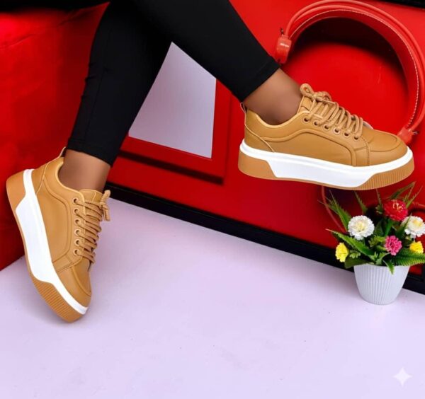 whatsapp image 2025 12 16 at 20.08.50