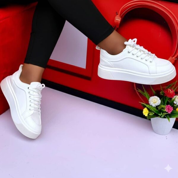 whatsapp image 2025 12 16 at 20.08.51