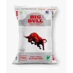 big bull1