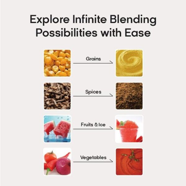 mega crusher blender1