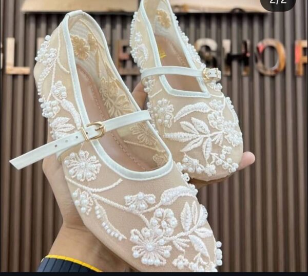 Ladies Mesh Embroidered Ballerina Flats ladies mesh embroidered ballerina flats