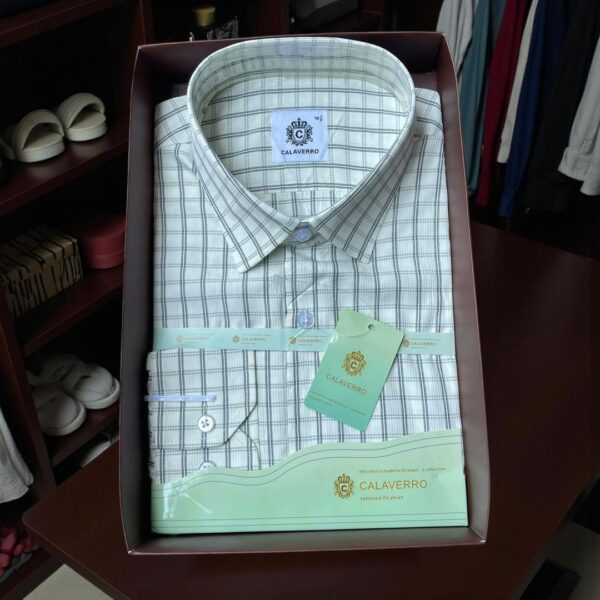 Striped Shirt striped shirt