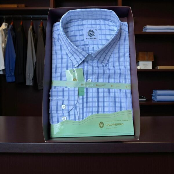 Striped Shirt striped shirt