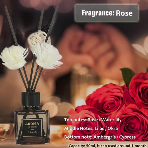 Diffuser Set2 diffuser set2