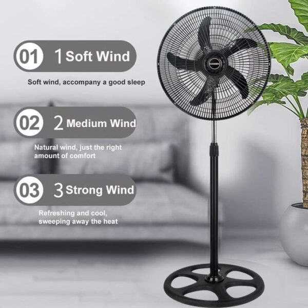 Electric Standing Fan5 electric standing fan5