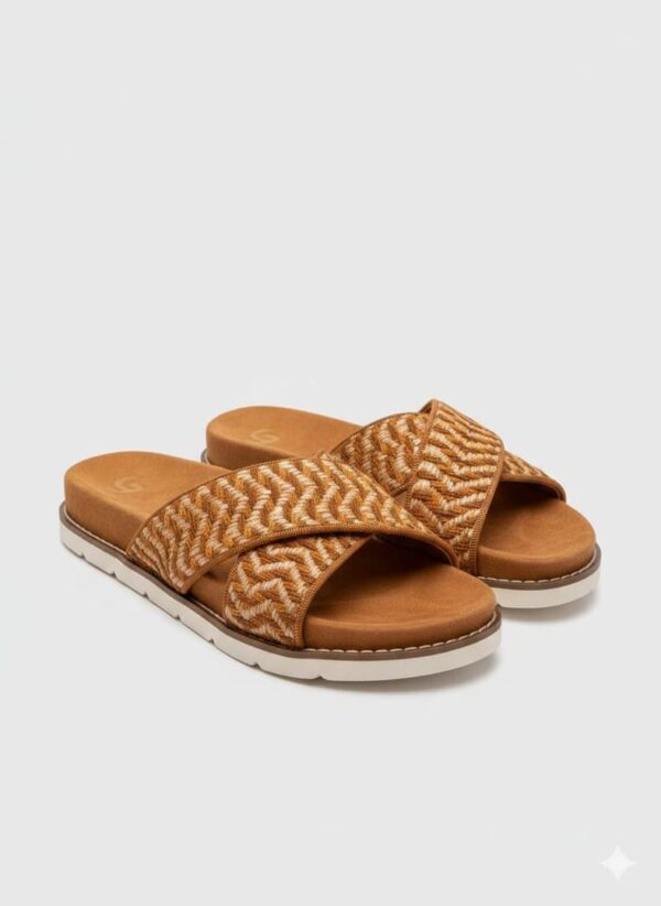 whatsapp image 2026 02 05 at 00.29.40