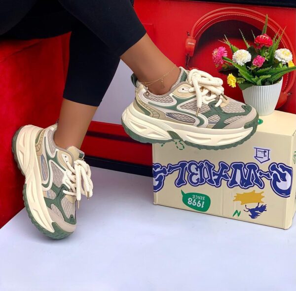 whatsapp image 2026 02 05 at 00.30.14