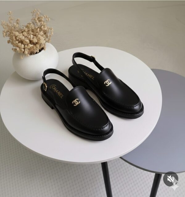 whatsapp image 2026 02 12 at 02.27.36