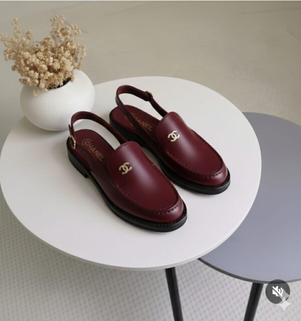 whatsapp image 2026 02 12 at 02.27.37