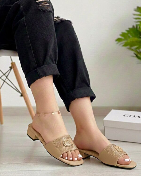 Fancy Women's Flats fancy women's flats