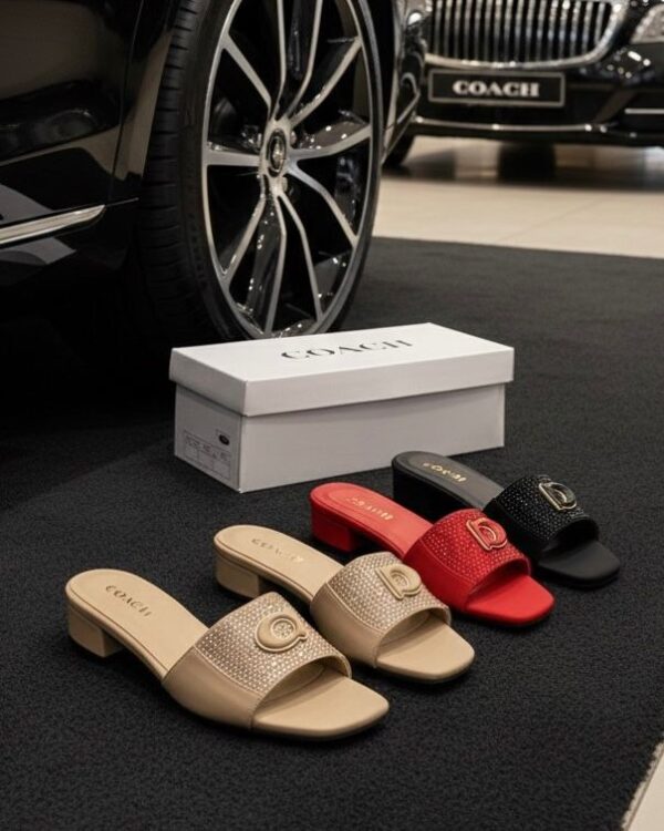 Fancy Women's Flats fancy women's flats