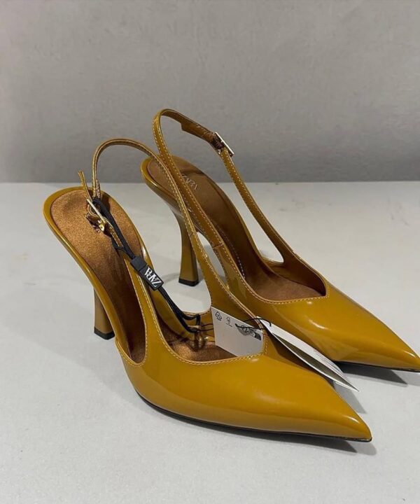 pointed toe ankle strap high heel shoe