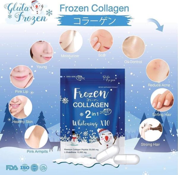 frozen collagen4