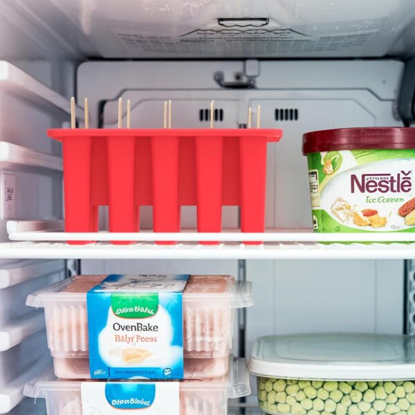 ice cream popsicle mold4